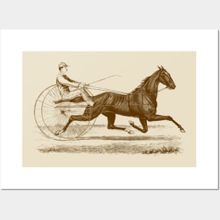 Harness Racing Horse Vintage Illustration Posters and Art